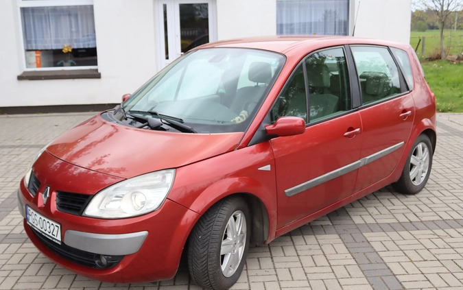 Renault Scenic cena 8400 przebieg: 225209, rok produkcji 2007 z Brześć Kujawski małe 37